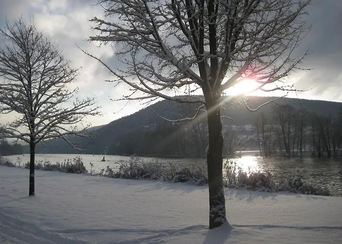 Apartamento Main Lieblingsplatz Langenprozelten
